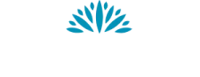 footer-logo